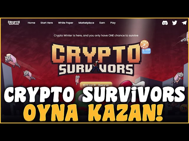 Crypto Survivors Oyna Kazan – Oyun Oyna Para Kazan Çekiliş İçerir !! Para Kazan