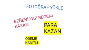 FOTOGRAF-CEK-DOLAR-KAZAN-BEGENI-YAP-DOLAR-KAZAN-INTERNETTEN-PARA-KAZAN-PARA-KAZANMA-YOLLARI-DOLAR-Kripto-Kazan