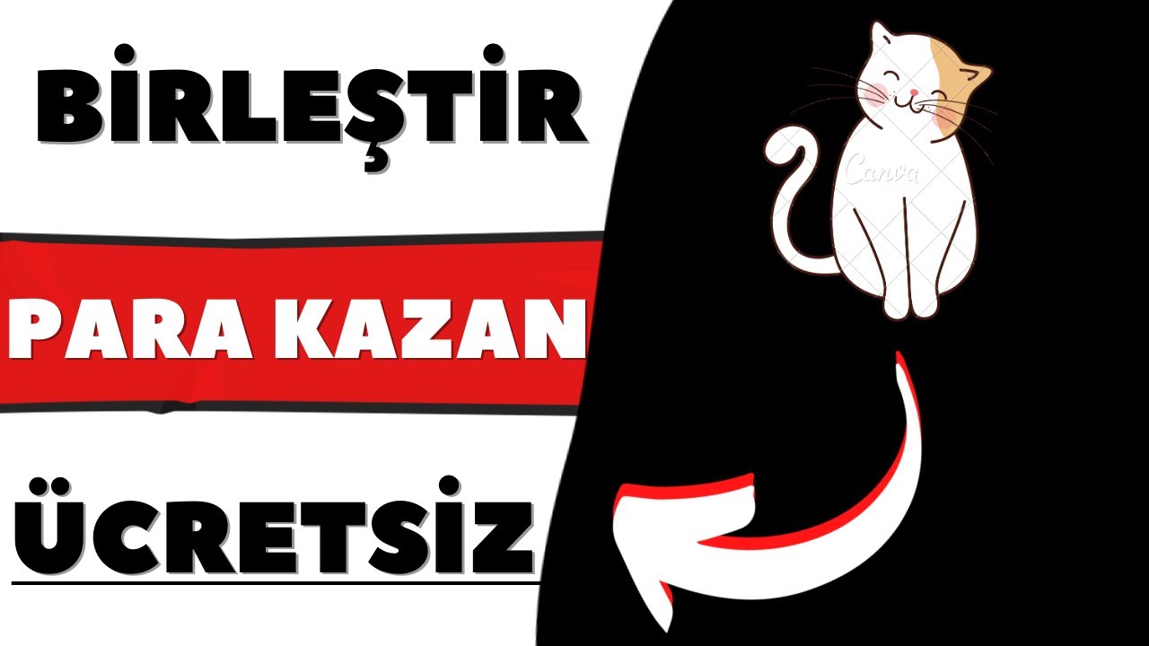 Kedi-Birlestir-PARA-KAZAN-SAATLIK-10-KAZAN-Internetten-Para-Kazan-Para-Kazan