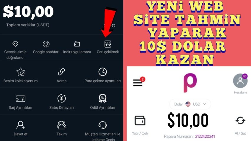 YENİ WEB SİTE ÇIKTI HER GÜN 10$ DOLAR KAZAN | internetten para kazanma –  para kazanma 2023 Para Kazan