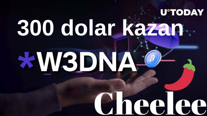 W3DNA & Cheelee Airdrop 300 Dolar Kazan ? Kripto Kazan 2022