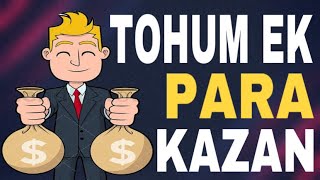 Tohum Ek Günde 30$ Para Kazan | Oyun Oyna Para Kazan | Ödeme Kanıtlı Para Kazan