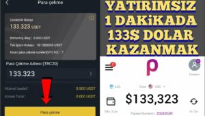 YATIRIMSIZ-BEDAVA-1-DAKIKADA-130-DOLAR-KAZAN-internetten-para-kazanma-bedava-para-kazanma-Para-Kazan