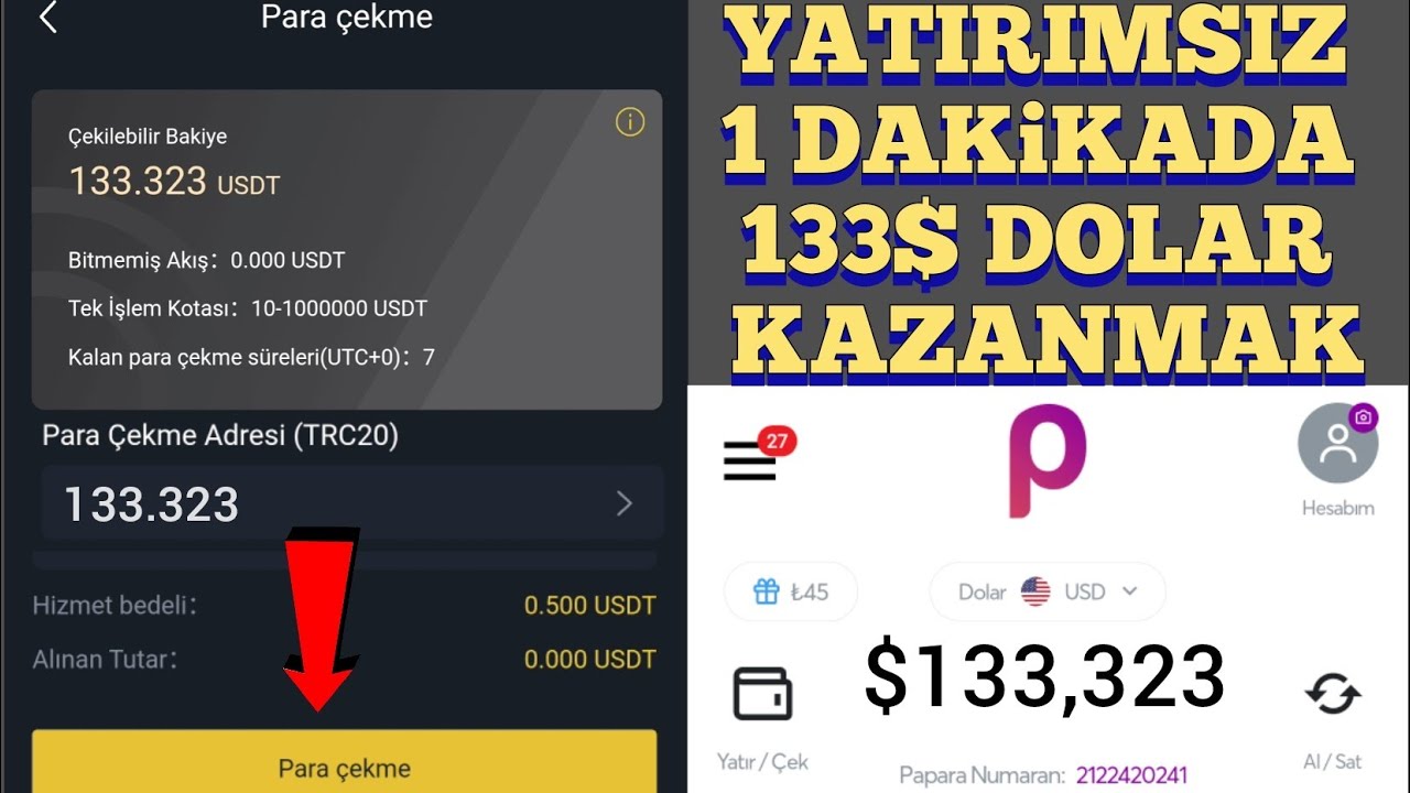YATIRIMSIZ-BEDAVA-1-DAKIKADA-130-DOLAR-KAZAN-internetten-para-kazanma-bedava-para-kazanma-Para-Kazan