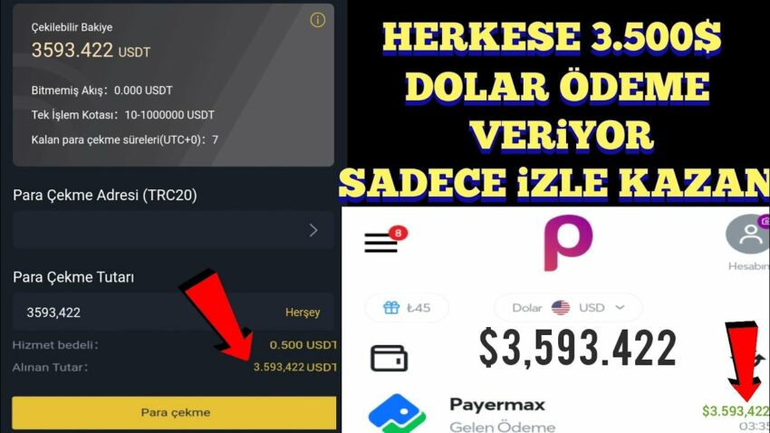 1 GÜNLÜK KAZANCIM 3590$ DOLAR SADECE İZLE KAZAN | internetten para kazanma – bedava dolar kazanma Para Kazan