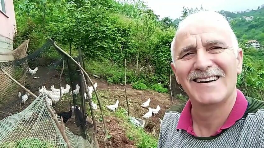 Köy de Tavuk Yetiştirmek Nasıl Olur Köy Hayatında Ek Gelir Yolları Köy de Yaşam Ek Gelir 2022
