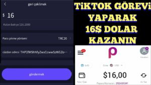TIKTOK-GOREV-YAP-16-DOLAR-KAZAN-TikTok-para-kazanma-internetten-para-kazanma-dolar-kazanma-Para-Kazan