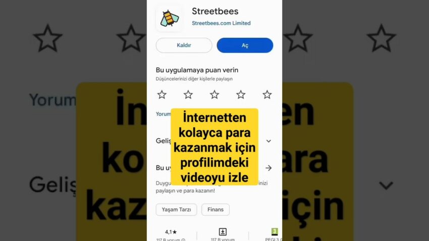 İnternetten garanti para kazan #para #başarı #internettenparakazanma #streetbees Para Kazan