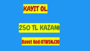 INTERNETTEN-BEDAVA-250-TL-KAZAN-INTERNETTEN-PARA-KAZAN-PARA-KAZANMA-YOLLARI-PAPARA-Kripto-Kazan